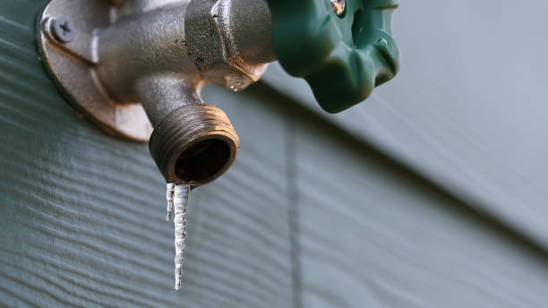 Best Plumbing Inspection Services  in Caoncito, NM